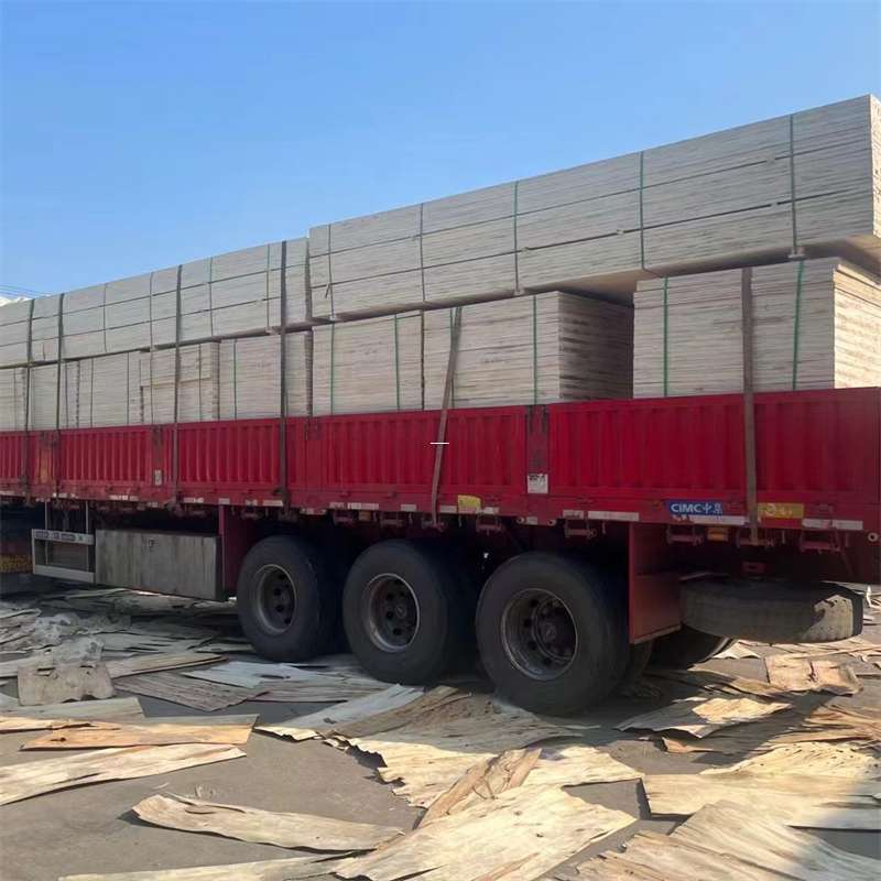 澄城县探寻会东县进仓物流的多元运输奥秘